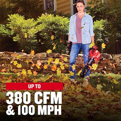 CRAFTSMAN V20 Akku-Axial-Laubbläser-Set mit 4,0 Ah Akku und Ladegerät (CMCBL700M1)